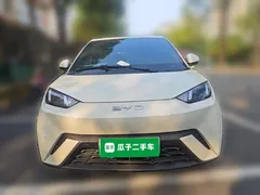 2025 BYD Seagull 305km Vitality, белый — фото 2