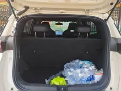 2025 BYD Seagull 305km Vitality, белый — фото 15