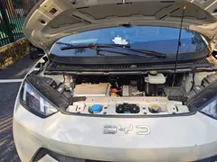 2025 BYD Seagull 305km Vitality, белый — фото 21