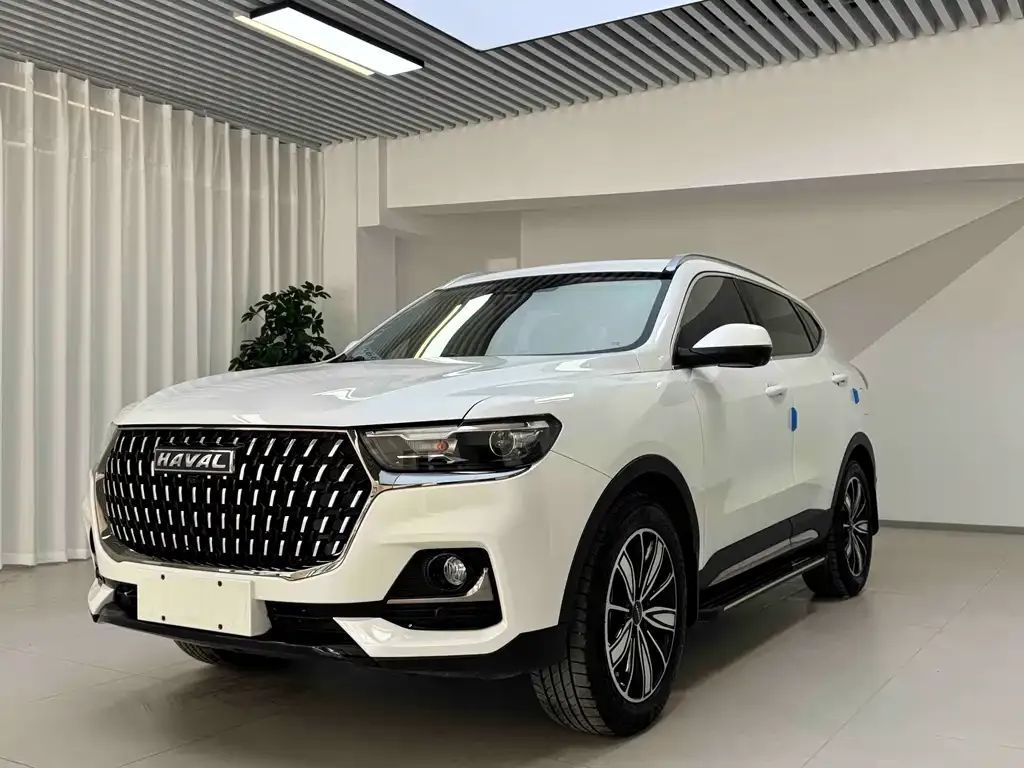 2023 Haval H6 1.5T AT Guochao Champion