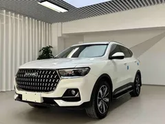 2023 Haval H6 1.5T AT Guochao Champion, белый — фото 1