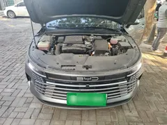 2024 BYD Destroyer 05 DM-i PHEV 55km Luxury — фото 16