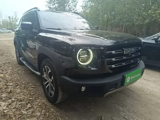 2021 Haval Dargo 1.5T DCT 2WD Border Collie