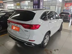 2021 Haval M6 Plus 1.5T DCT Elite, белый — фото 4