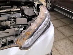 2022 Toyota Frontlander 2.0L CVT Luxury Plus, белый — фото 21