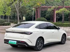 2024 BYD Seal 06 DM-i PHEV 80km Premium, белый — фото 11
