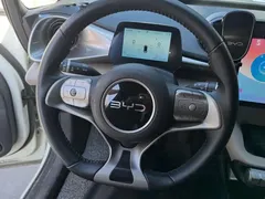 2025 BYD Dolphin 420km Freedom, белый — фото 15
