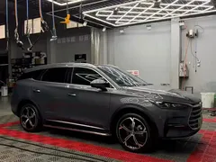 2023 BYD Tang DM-i PHEV Champion 112KM Premium — фото 5