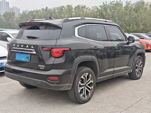 2023 Haval Dargo PLUS 2.0T 4WD