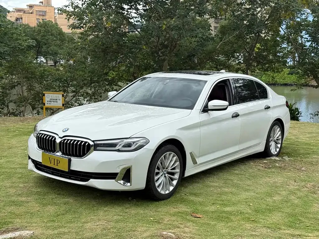 2021 BMW 5 Series 525Li Luxury Package