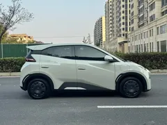2025 BYD Seagull 305km Vitality, белый — фото 12