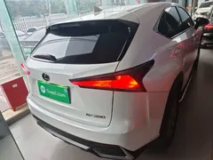 2020 Lexus NX 200 2WD Fengxing China VI, белый — фото 6