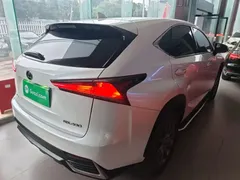 2020 Lexus NX 200 2WD Fengxing China VI, белый — фото 7