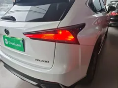 2020 Lexus NX 200 2WD Fengxing China VI, белый — фото 8