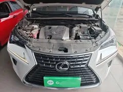 2020 Lexus NX 200 2WD Fengxing China VI, белый — фото 20