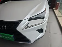 2020 Lexus NX 200 2WD Fengxing China VI, белый — фото 24