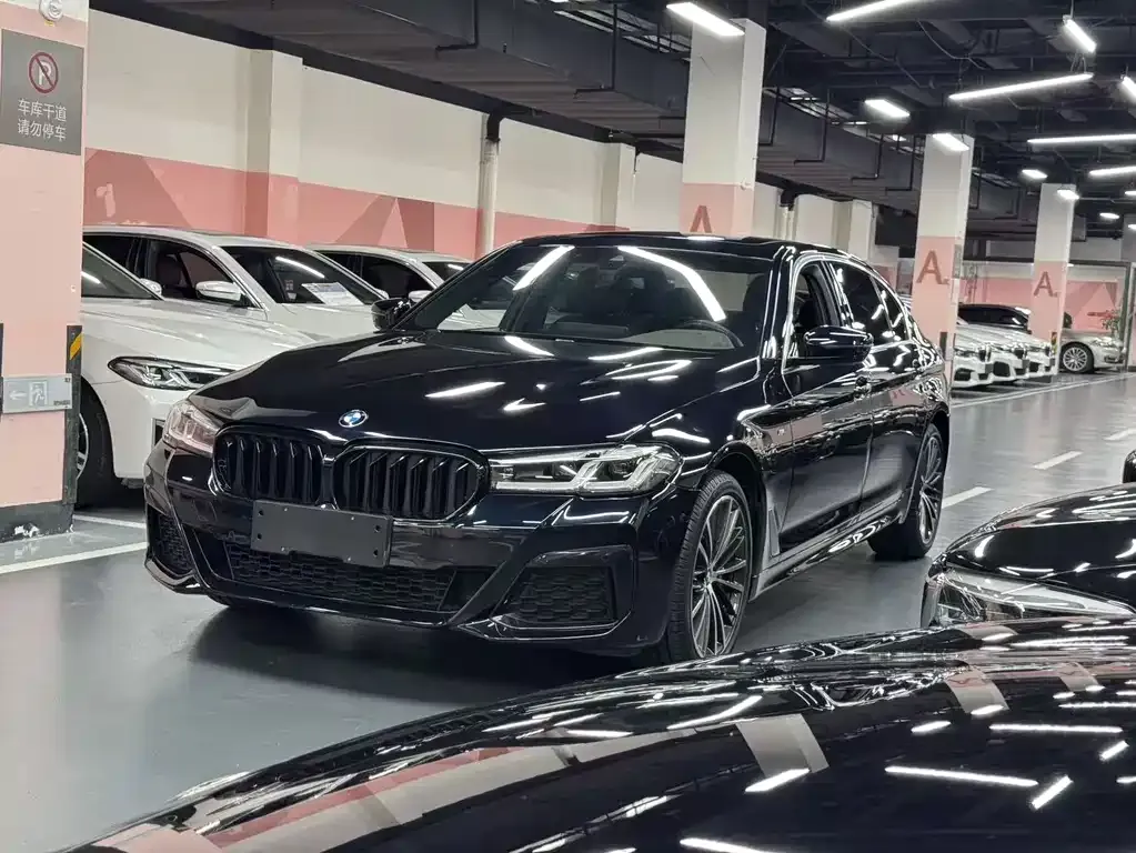 2021 BMW 5 Series 530Li Leading M Sport Package