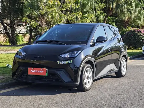 2023 BYD Seagull Vitality