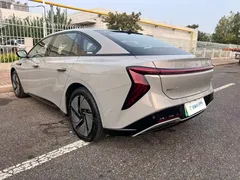 2024 Hongqi EH7 640 Pro+ 4WD — фото 34