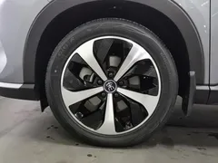 2021 BYD Song PLUS DM-i PHEV 110KM Flagship Plus — фото 17