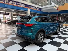 2022 Haval Chitu 1.5T, синий — фото 5