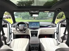 2025 BYD Song PLUS EV 520km Premium, белый — фото 7