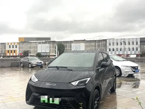 2024 BYD Seagull Honor 305km Vitality