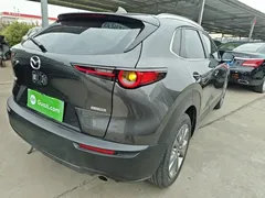 2021 Mazda CX-30 2.0L AT — фото 7