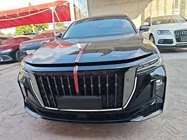 2024 Hongqi H9 2.0T Qixiang Fashion