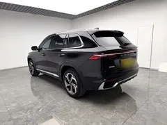 2021 Geely Monjaro 2.0TD DCT EVO 2WD Premium, чёрный — фото 10