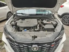2021 Changan Eado PLUS Blue Whale NE 1.4T GDI DCT Premium, белый — фото 20