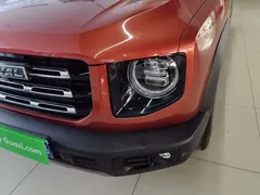 2021 Haval Dargo 1.5T DCT 2WD Border Collie — фото 24