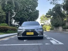 2020 Lexus ES 300h Excellence — фото 3