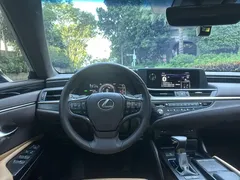 2020 Lexus ES 300h Excellence — фото 5