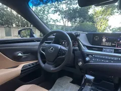 2020 Lexus ES 300h Excellence — фото 6