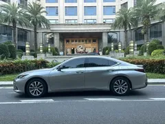 2020 Lexus ES 300h Excellence — фото 12