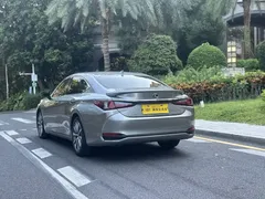 2020 Lexus ES 300h Excellence — фото 13