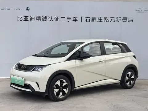 2025 BYD Dolphin 420km Freedom