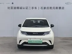 2025 BYD Dolphin 420km Freedom, белый — фото 2