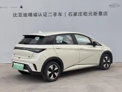 2025 BYD Dolphin 420km Freedom, белый — фото 3
