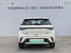 2025 BYD Dolphin 420km Freedom, белый — фото 4
