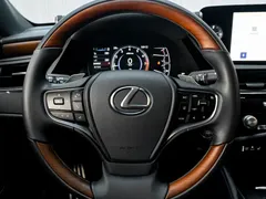 2022 Lexus ES 200 Luxury — фото 15