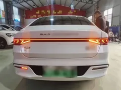 2024 BYD Qin PLUS Honor EV 510km Leading, белый — фото 4
