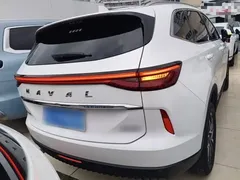 2021 Haval H6 3rd Gen 1.5T AT 2WD Pro, белый — фото 6