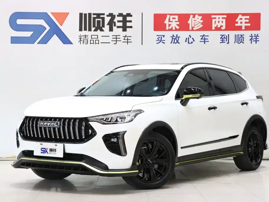 2021 Haval Chitu 1.5T Jiqing Platinum Rabbit