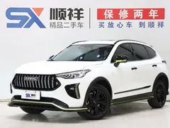 2021 Haval Chitu 1.5T Jiqing Platinum Rabbit, белый — фото 1