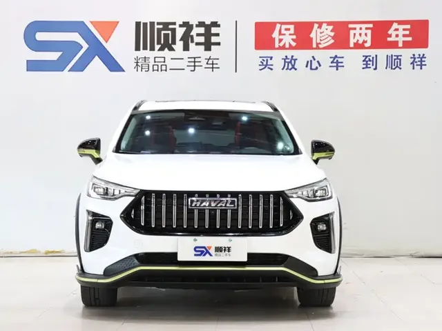 2021 Haval Chitu 1.5T Jiqing Platinum Rabbit