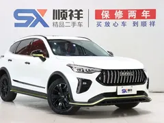 2021 Haval Chitu 1.5T Jiqing Platinum Rabbit, белый — фото 3