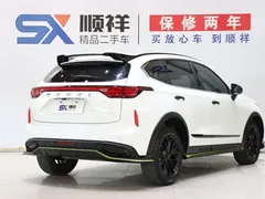2021 Haval Chitu 1.5T Jiqing Platinum Rabbit, белый — фото 4