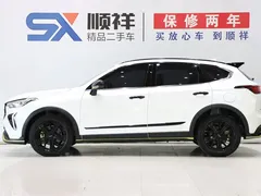2021 Haval Chitu 1.5T Jiqing Platinum Rabbit, белый — фото 6